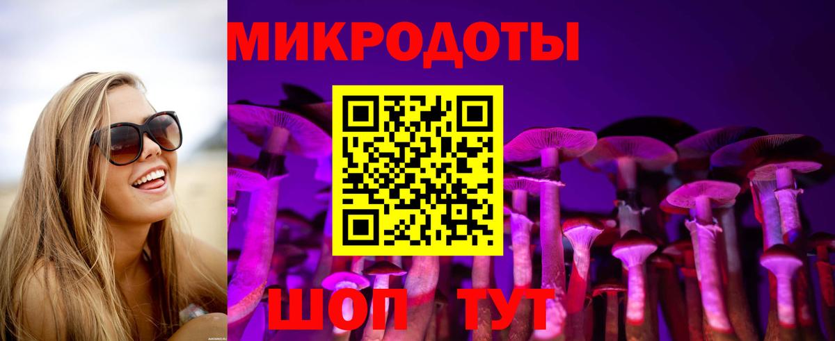 Псилоцибиновые грибы прущие грибы Новошахтинск