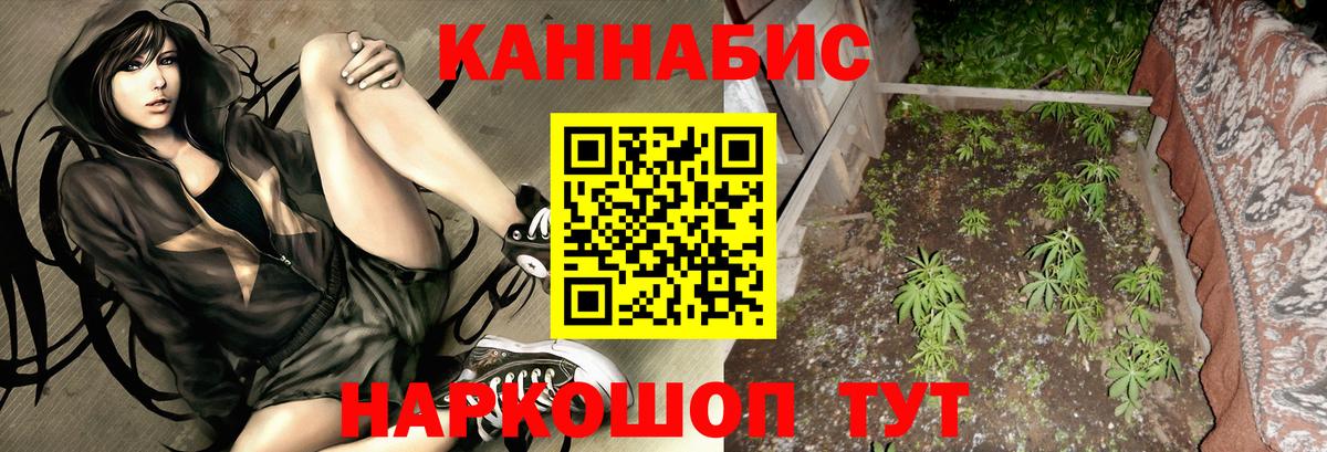 МАРИХУАНА план Новошахтинск